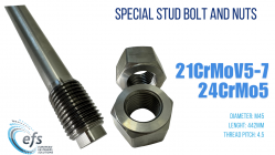 Special Stud bolts and nuts